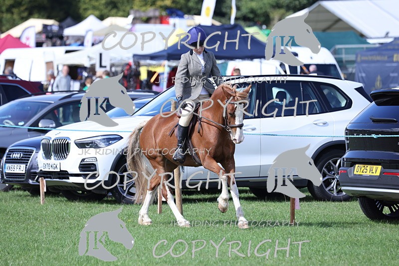 APP_3081 - Class 11 Veterans ridden