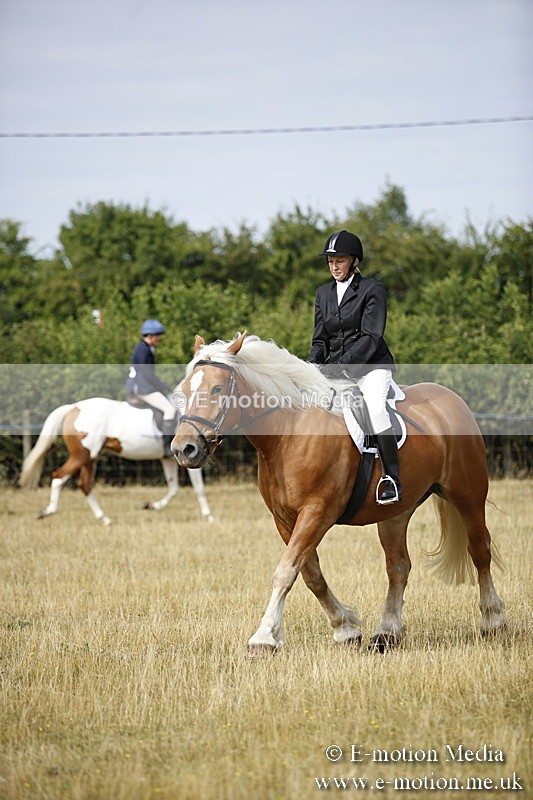 _C7A9288 - BVRC Show 2018 Ring 1