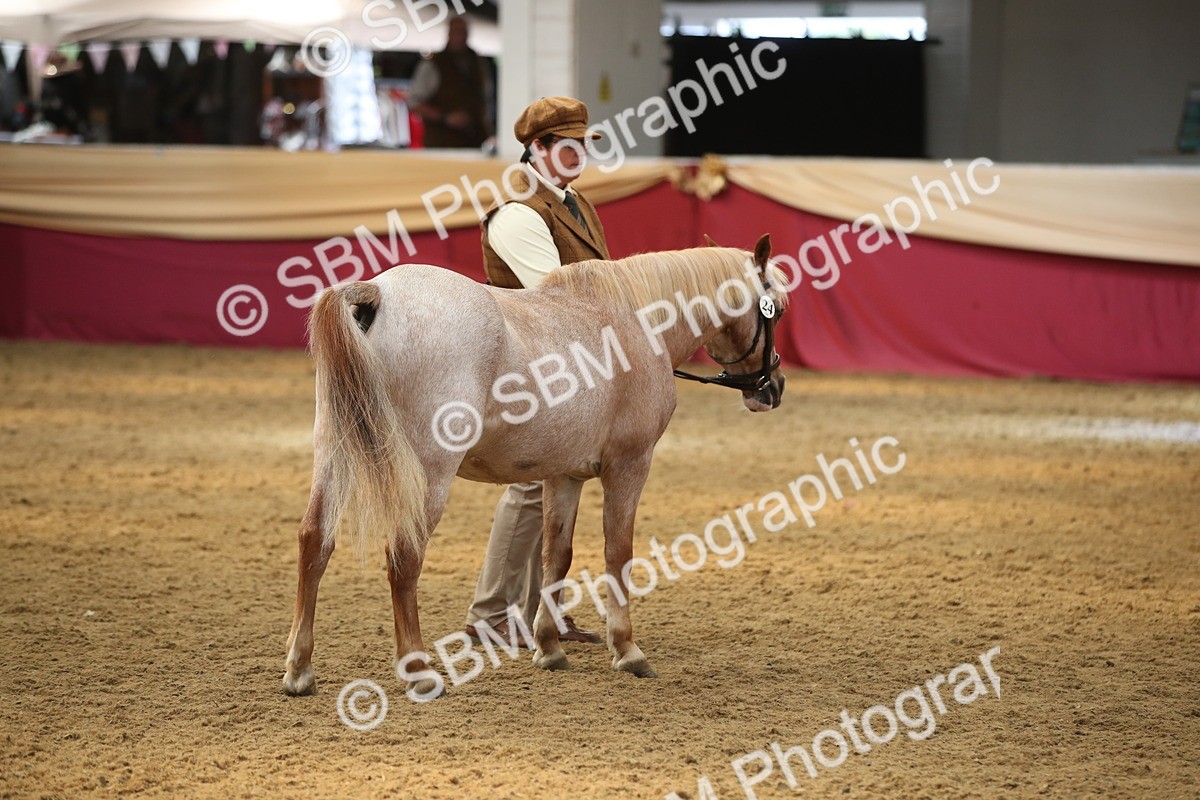 SBM_05390 - Class 8R - Regional IH Veteran