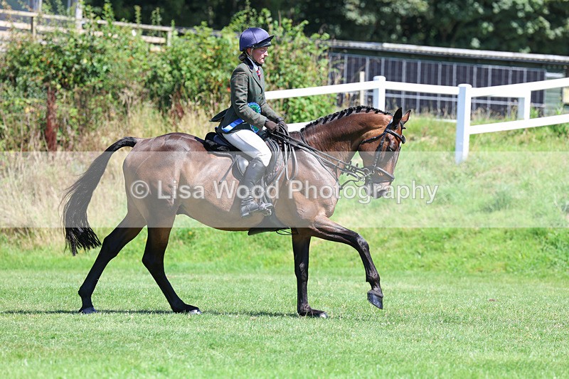 3E7A9168 - Working Hunter Championship