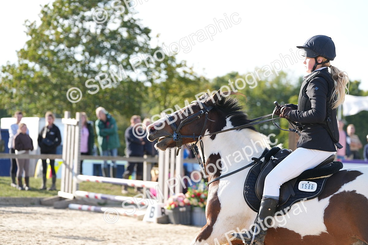 SBM_51022 - J8 - Junior Pony 65cm Championship