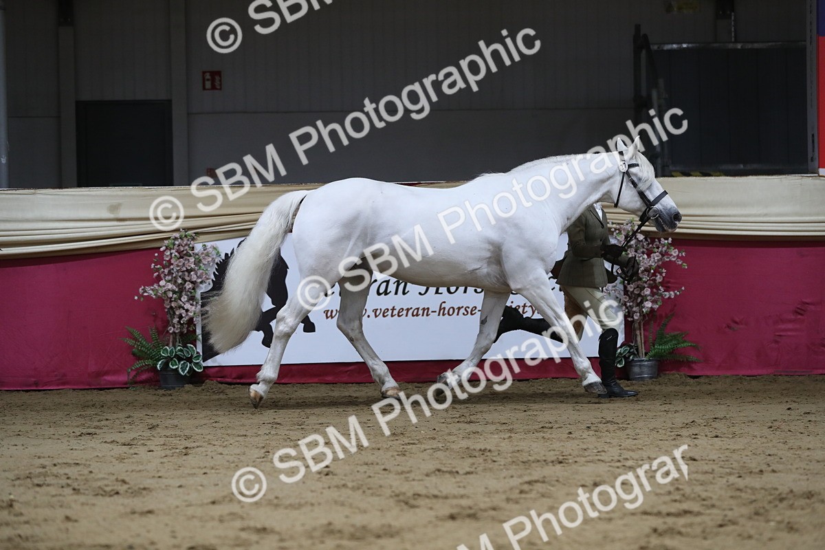 SBM_04404 - Class 7R Regional - IH Diamond