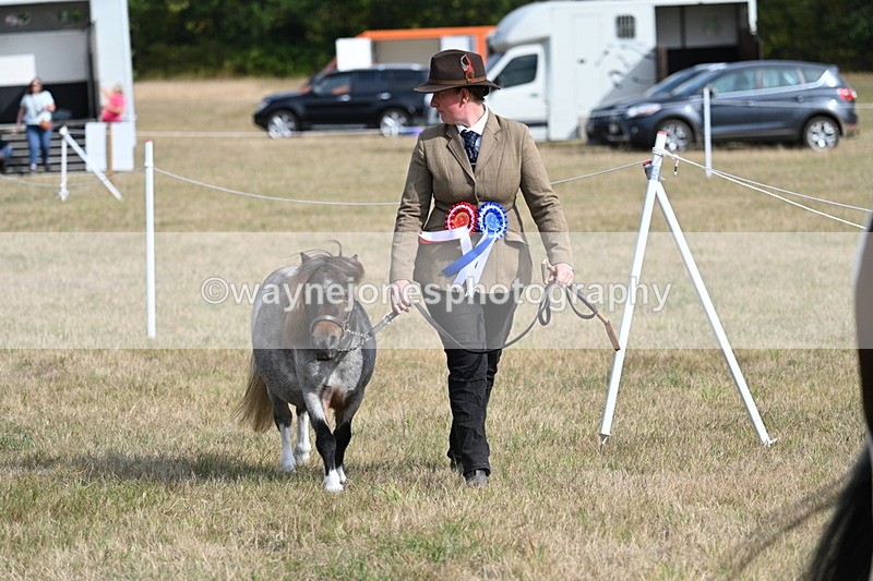 WJ7_8031 - In-hand Championship