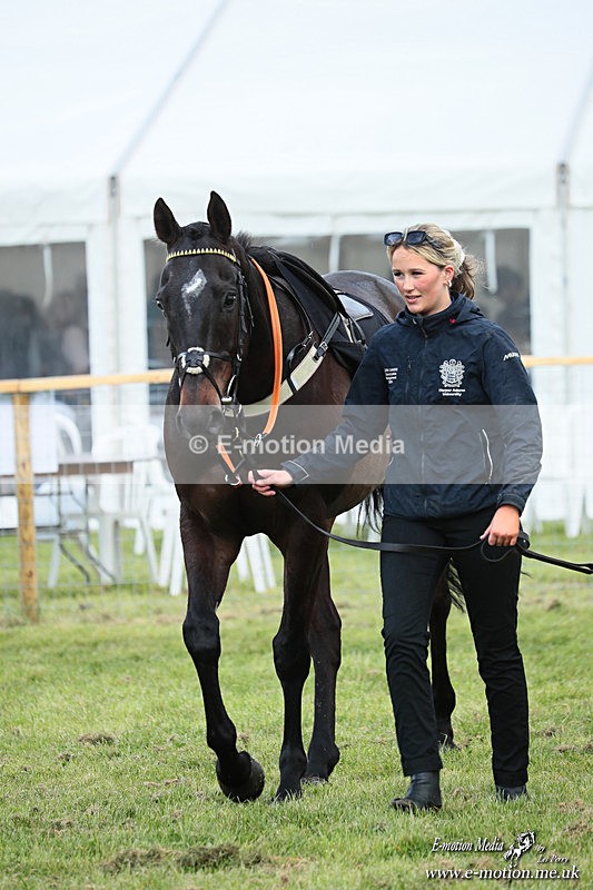 PtP 180426 675 - Worcestershire Hunt PtP Chaddesley Corbett 18/04/26