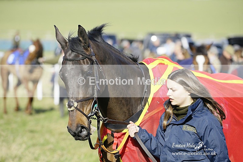 PtP 260222 01 - Kingston Blount Racing Club Point-to-Point 26/02/22