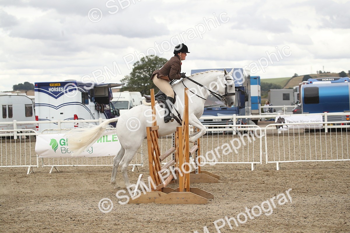 SBM_18267 - Class 509a - Working Veteran - 80cm (15-19)