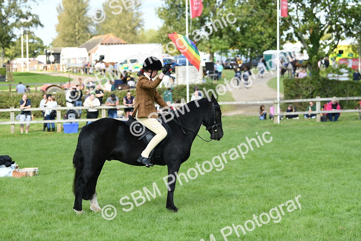 SBM_47075 - S12 - Family Horse & Pony