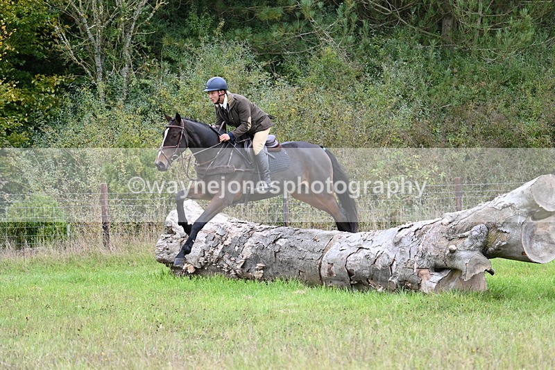 WJ7_3730 - Camera 1 Line 1