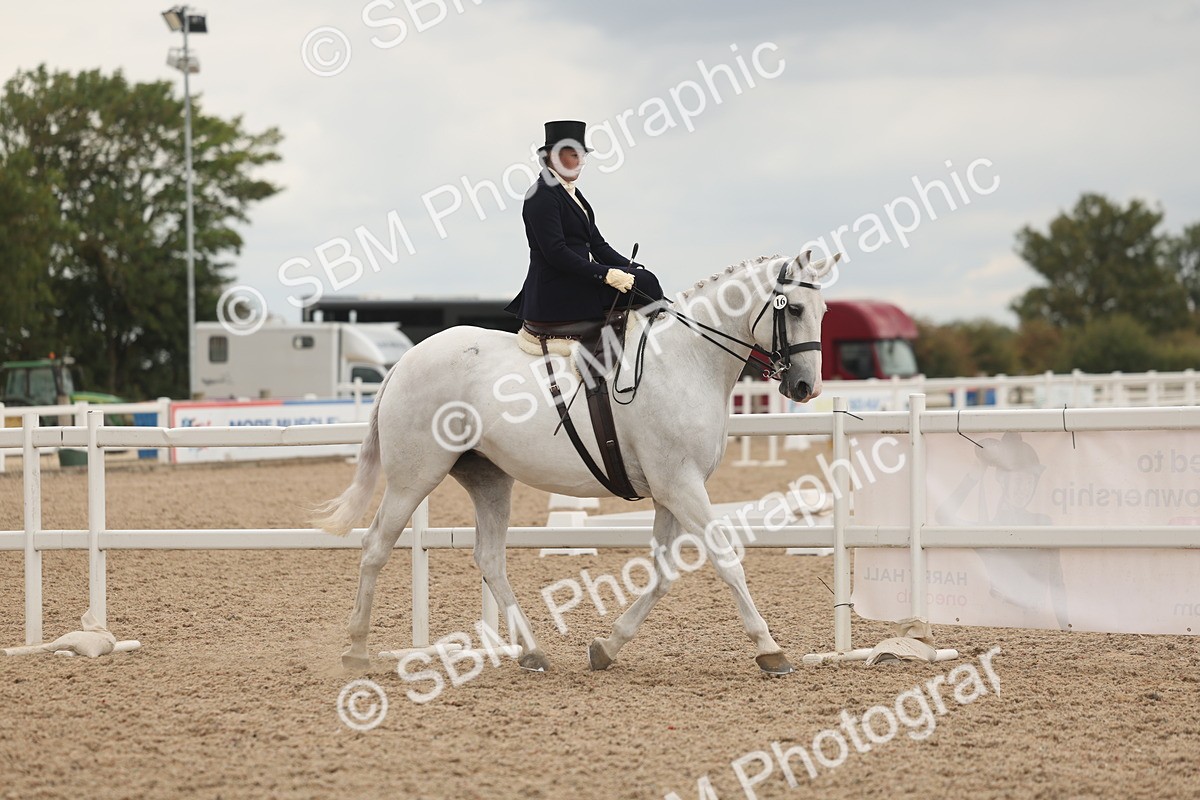 SBM_06407 - Class 23 - SSA - Classical