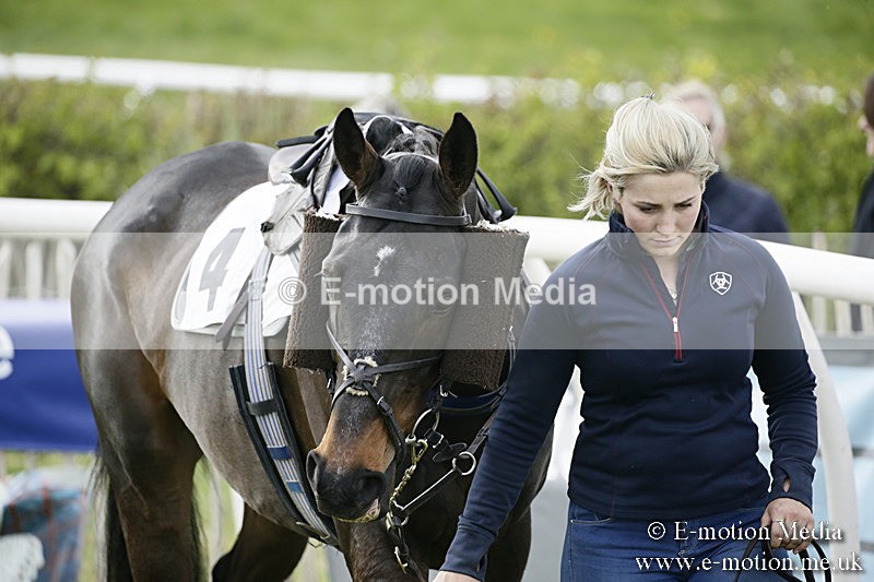 PtP 170417 393 - Old Berks Point-to-Point Lockinge 17/04/17
