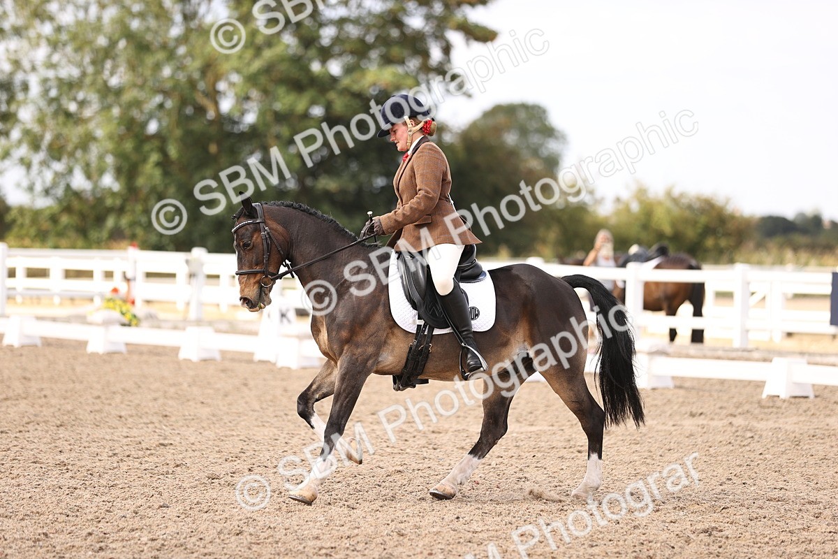 SBM_06055 - Class 37 Novice 5