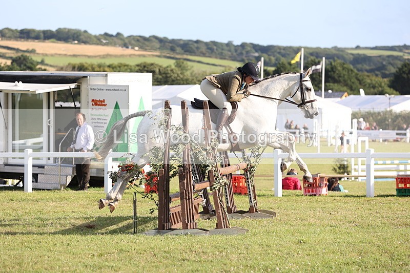 JPP_3498 - Class 22: Working Hunter 90cm