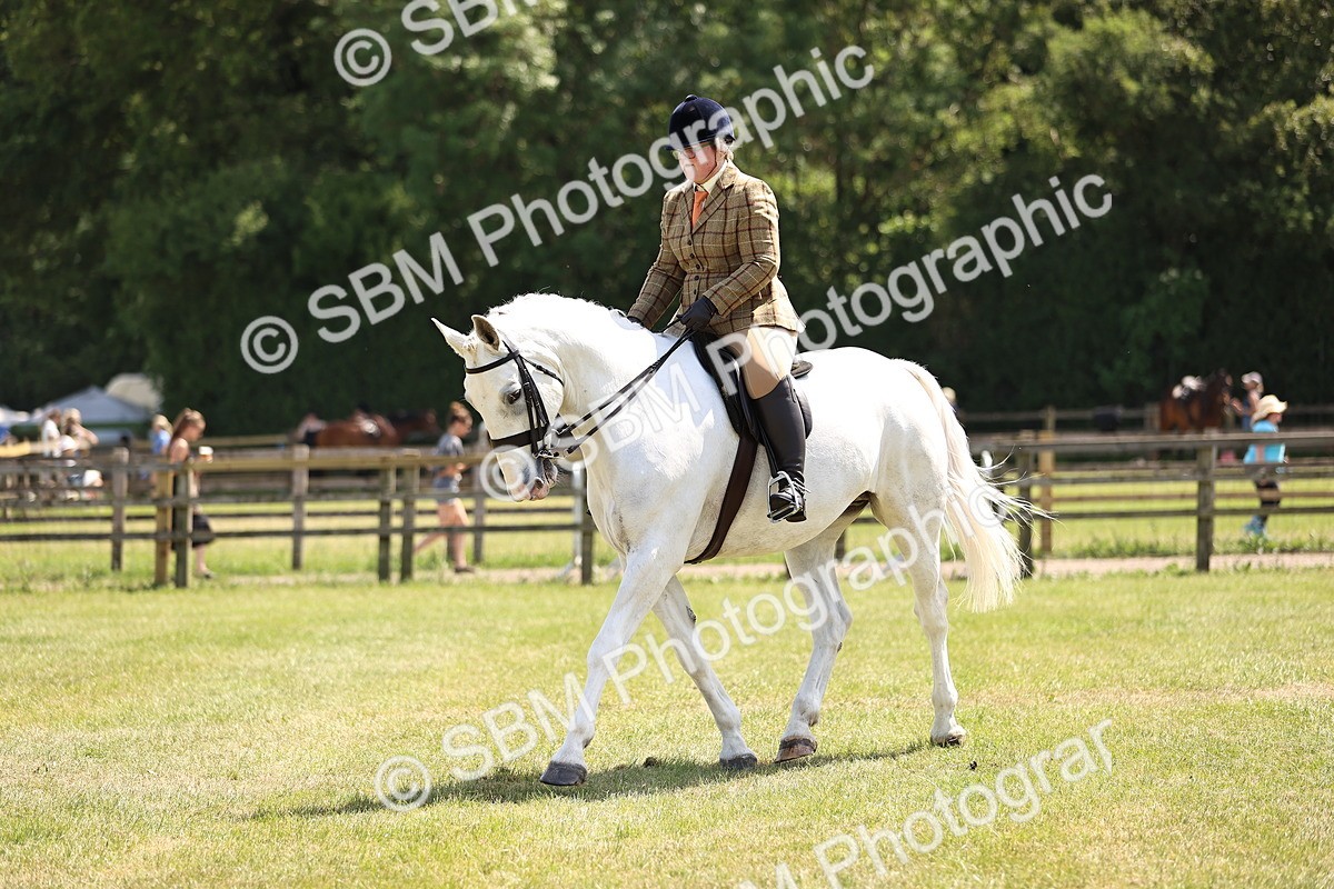 SBM_16146 - Class 79-80 - LIHS BSHA Rising Star Ridden Hunter