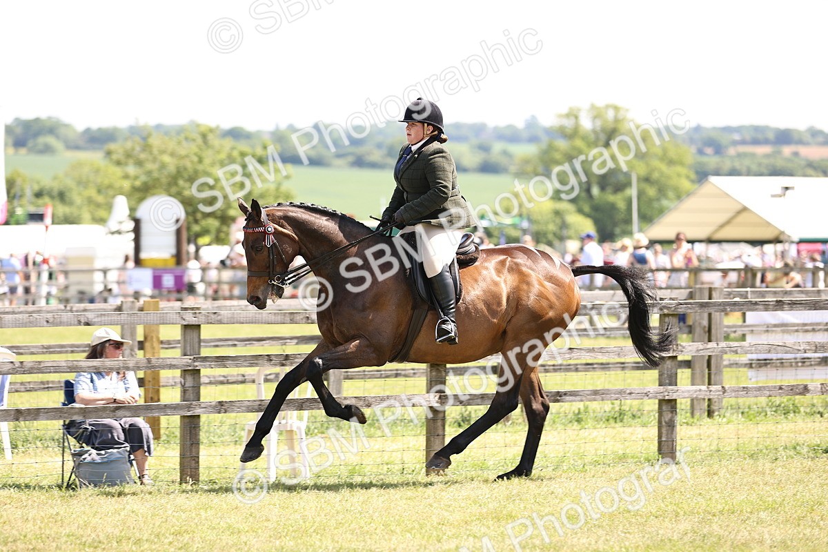 SBM_14911 - Class 78 - LIHS BSHA Open Racehorse & Show Horse