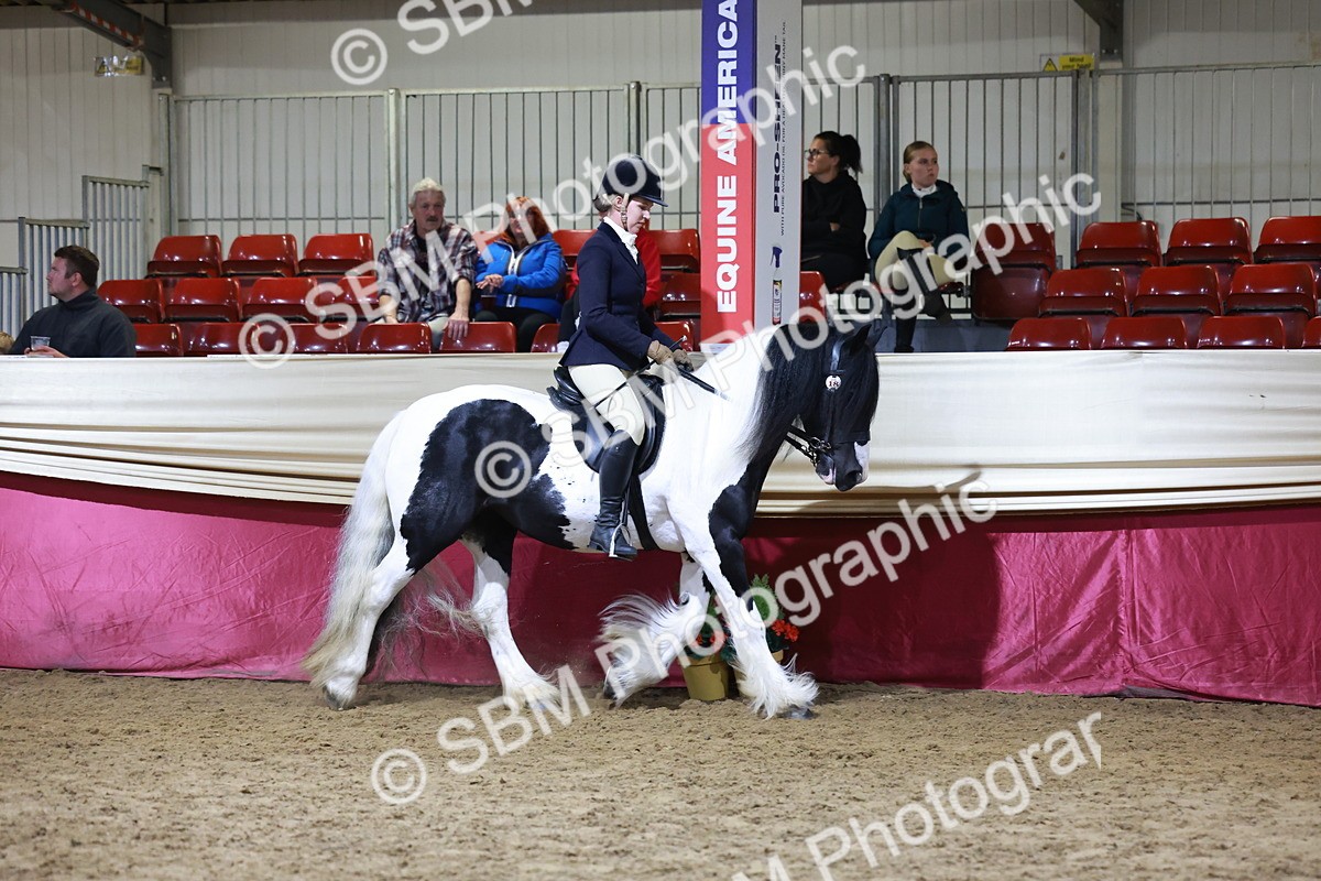 SBM_21271 - Class S - Style & Performance Champ