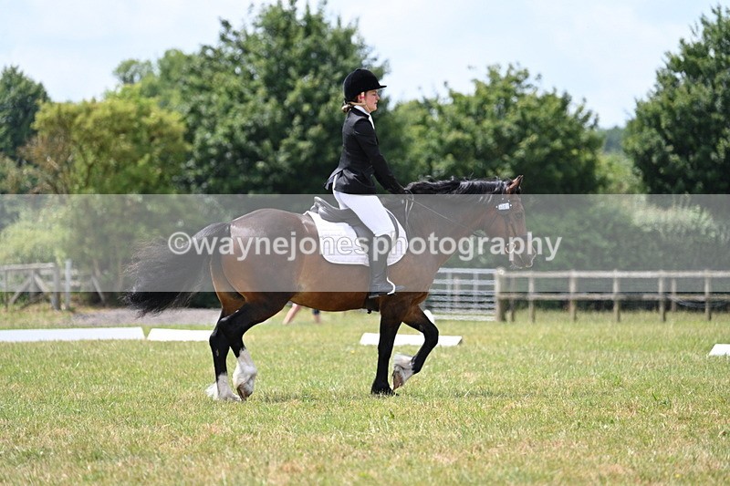 WJ7_5572 - Time 11:52 to 12:10