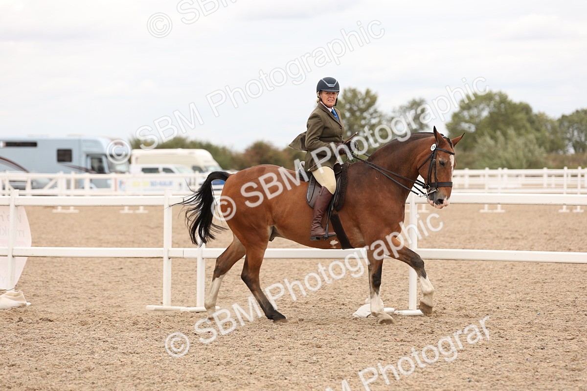 SBM_19545 - Class 215 - Ridden Show cob