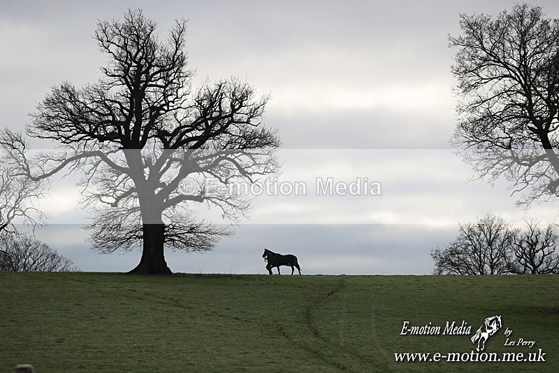 PtP 291224 55 - Harkaway Club PtP Chaddesley Corbett 29/12/24