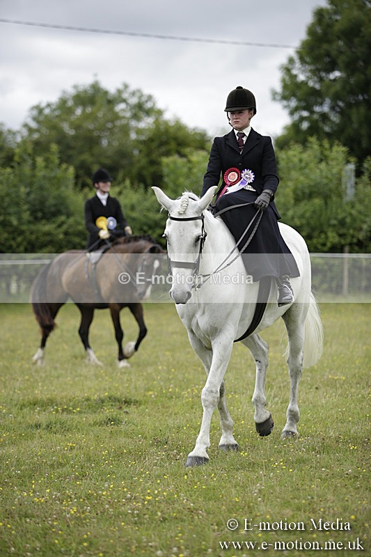 BVR160717-2015 - Side Saddle Classes 16/07/17