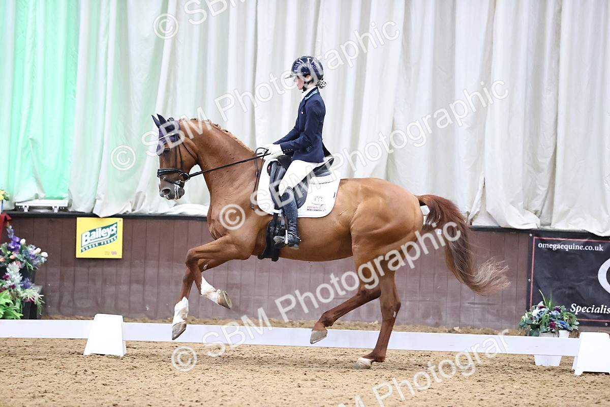 SBM_008147 - Class 15 - FEI Junior Pony Team-YR-COH