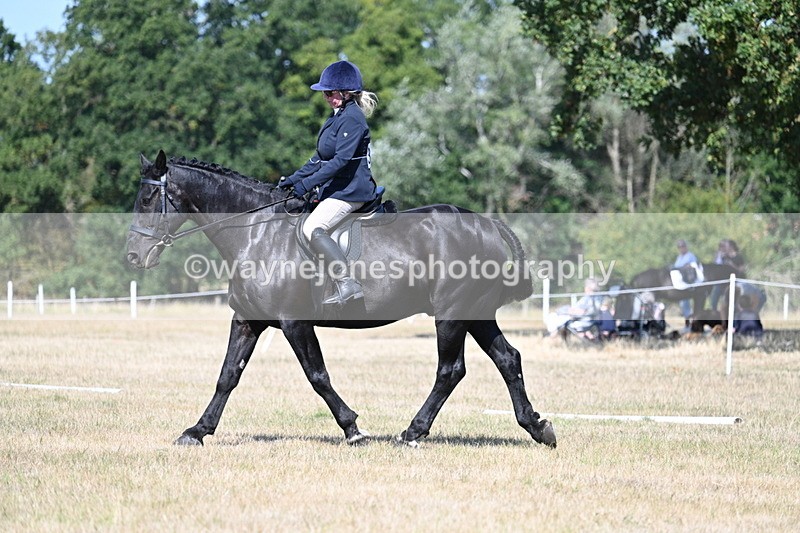 WJ7_9937 - Time 11:03 to 11:28