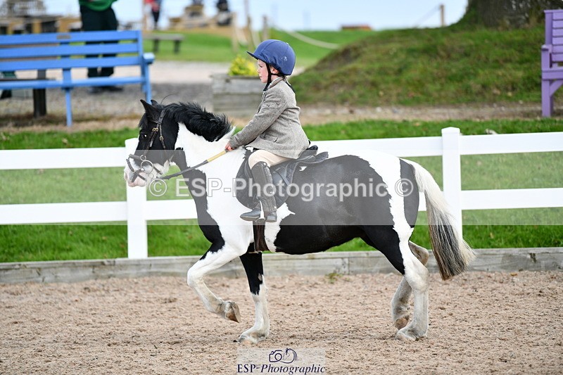 241013B-143703-01613 - Cls 5 70cm