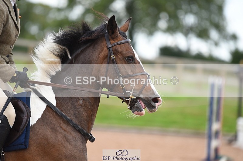 230711A-180908-00402 - 80cm