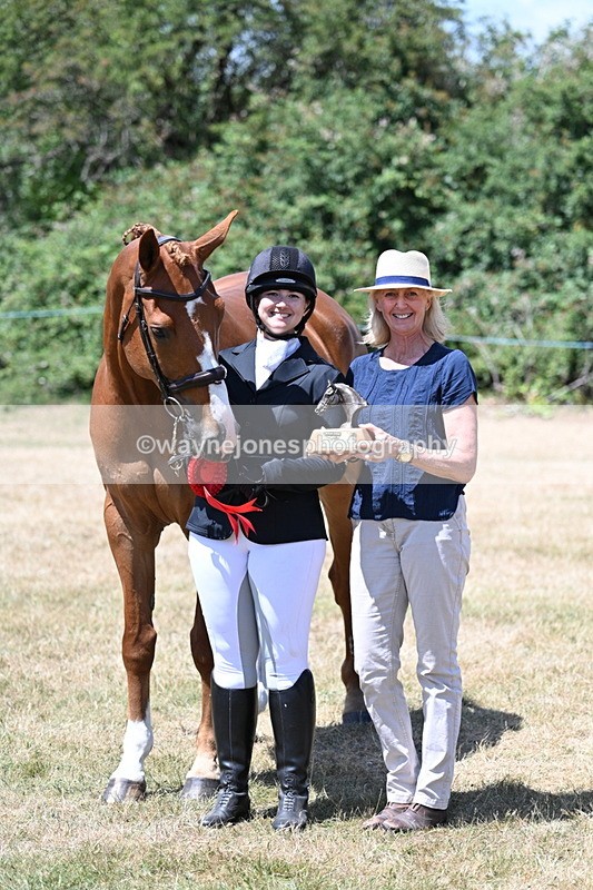WJ7_2512 - Most Handsome Gelding Champs