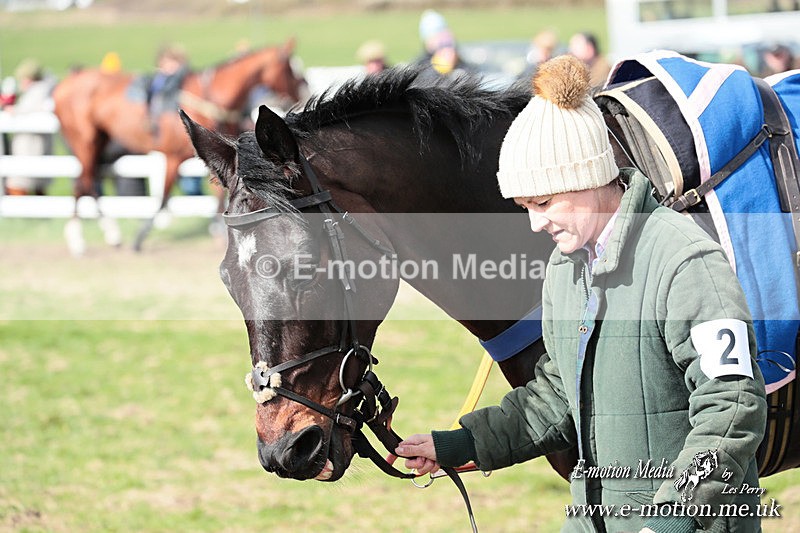 PtP 230324 318 - Tedworth Hunt PtP Larkhill Raccourse 23rd March 2024