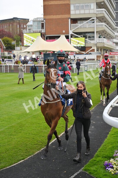 yr14052021r5-7 - Race 5 3.40pm The Jigsaw Sports Branding Handicap