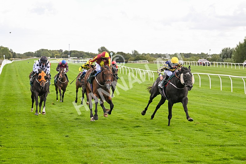 100924-Race 2-Keldeo-0020 - Race 2