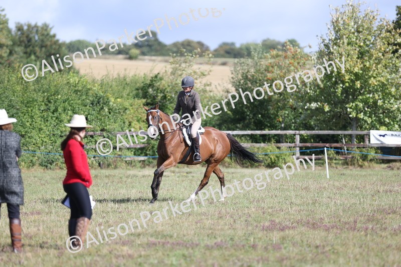 20250831-0917 - Class 14 - Ex Racehorse