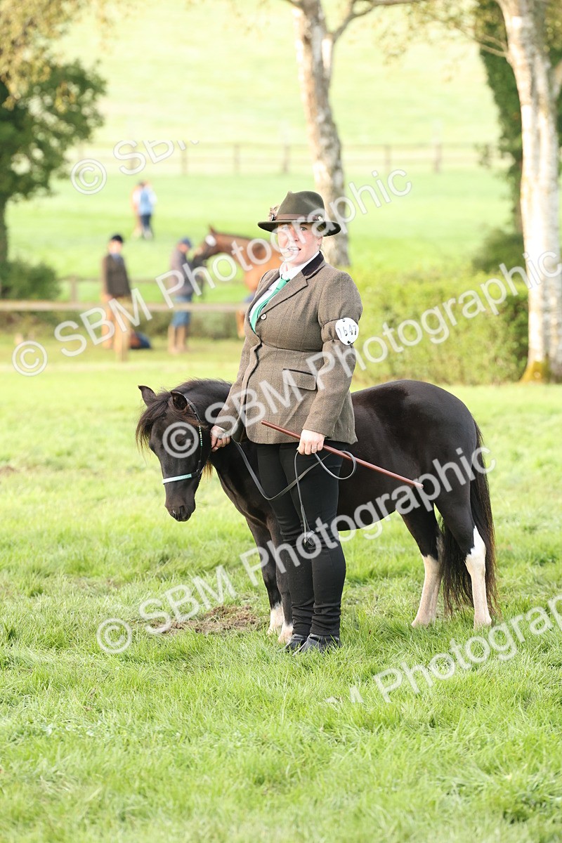 SBM_54415 - S51 - Foreign Breeds In Hand
