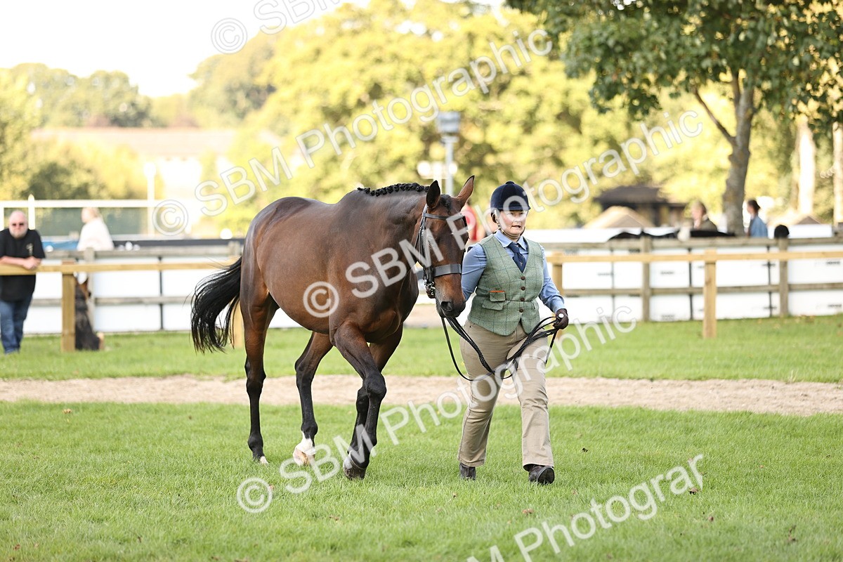 SBM_26260 - S5 - Novice & Newcomers In Hand