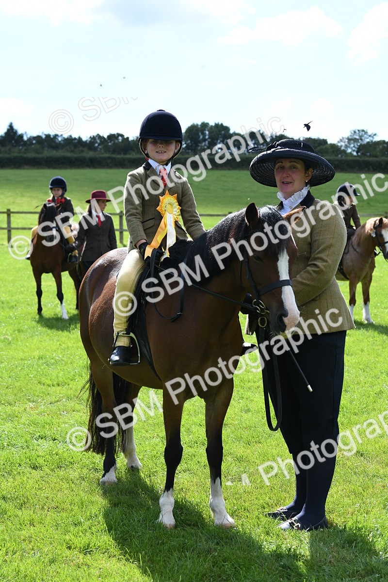 SBM_42671 - S20 - Lead Rein Mountain & Moorland Pony