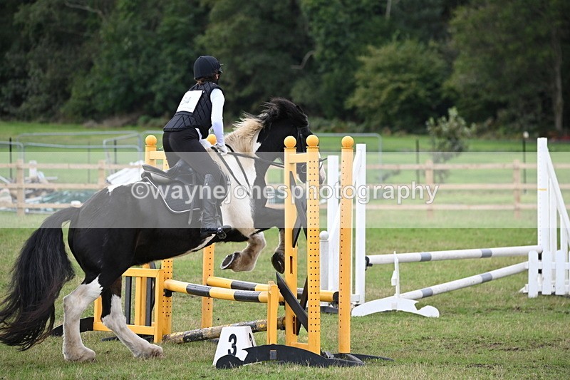 WJ6_1468 - 60cm Time 11:51 to 12:10