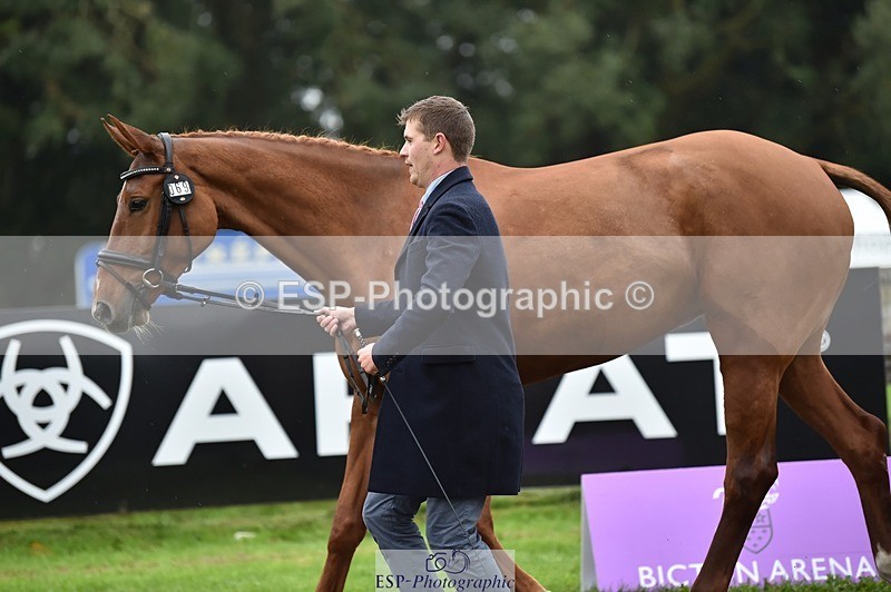 231018-121932-00208 - 069-LUSUELA-Will.Furlong-TrotUp