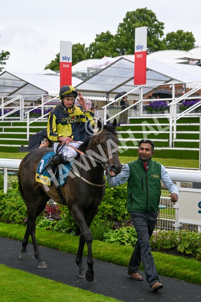 150624-Race 4-Jamess Delight-7470 - Race 4 3.35pm Churchill Tyres Supporting Macmillan Sprint Handicap