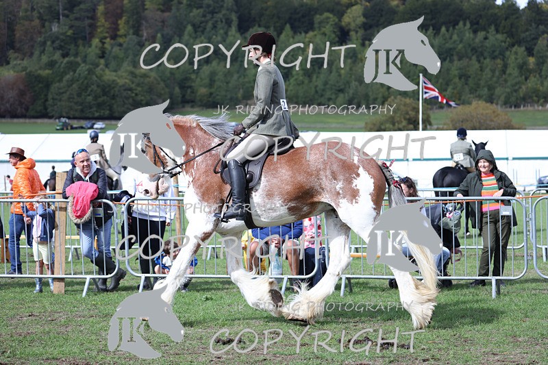 APP_3668 - Class 8 Ridden Class