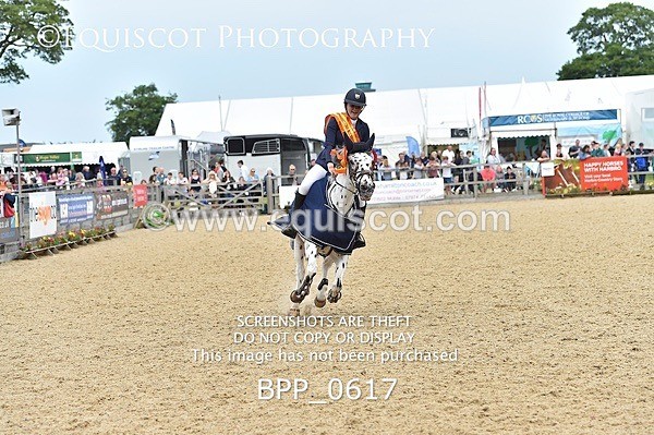 BPP_0617 - RHS 2019 Selection - *Just some random spectator shots so Lucky Dip if you are there!