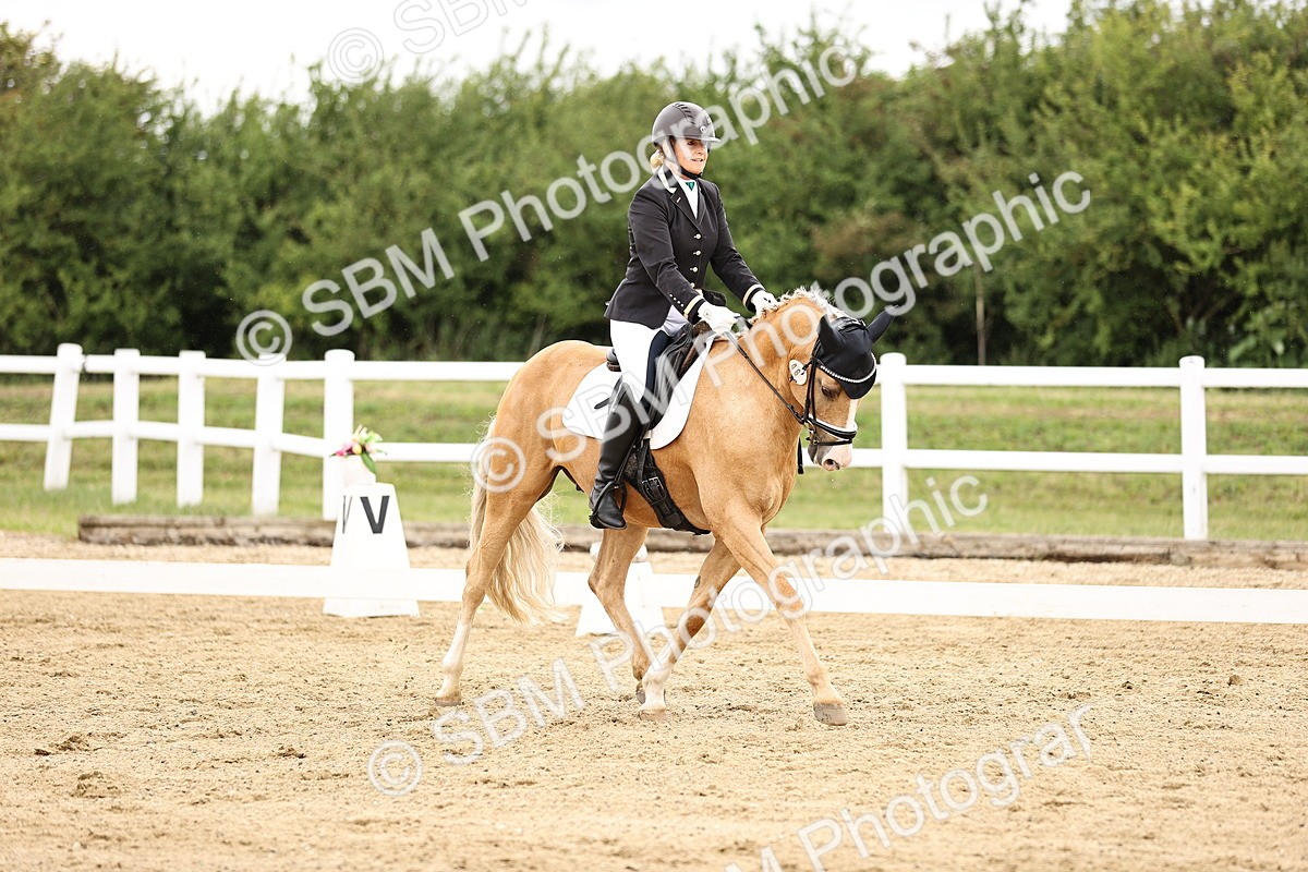 SBM_002091 - Class 2 - Novice 4 - 10.36-11.39