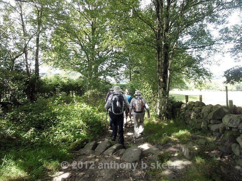 072  Passing through High Wood towards Adams Ale Spring - York Minster Walkers Collection 2024