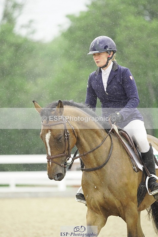 230729A-095742-04491 - Cls 20 British Novice & 90cm Open