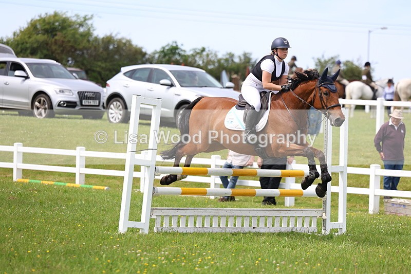 3E7A1864 - Class 13: Senior British Novice/90cm open