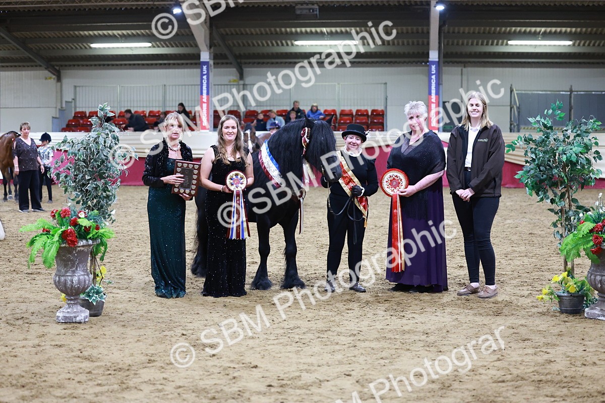 SBM_20424 - Class F - IH Small (148cm & Under)Champ