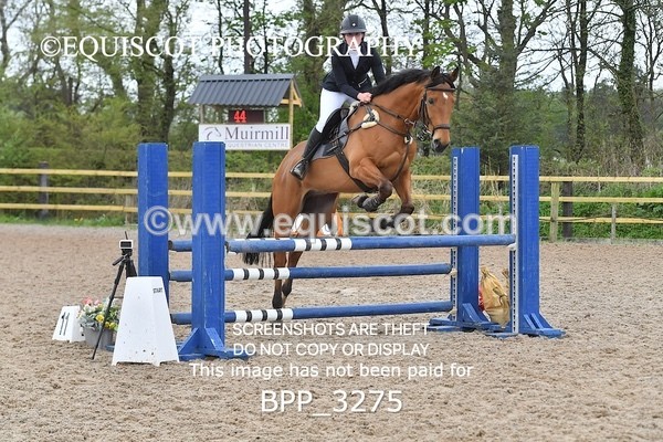 BPP_3275 - CLASS 14 SUN Senior BritiNovice/ 90cm Open