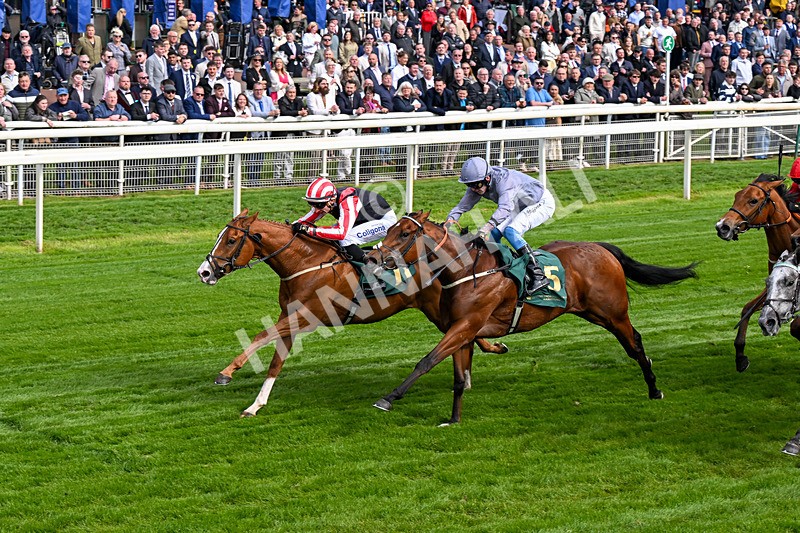 150526-Race 6-Fortification-0350 - Race 6 4.40pm Irish Thoroughbred Marketing Handicap