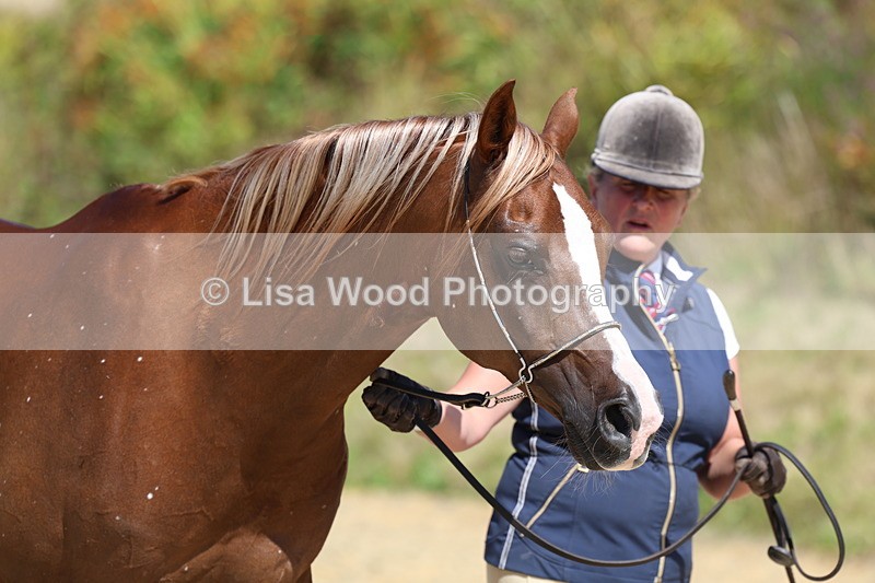 3E7A9759 - Class 33: Arab In Hand