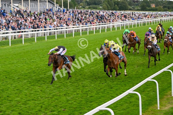 230824-Race 7-Treasure Time-0186 - Race 7 5.20pm Sky Bet Mile Handicap