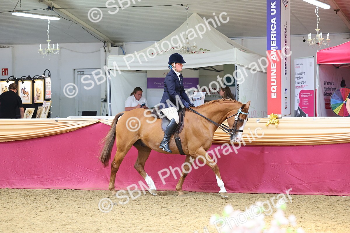 SBM_24030 - Class 905 - Supreme Final - Ridden Veteran